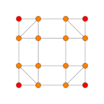 7-cube t04 B2.svg