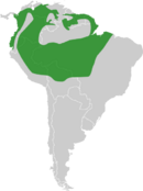 Northern South America, excluding the Andes mountains and the Brazil/Venezuela border