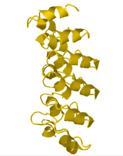 CLIP4 tertiary structure.png