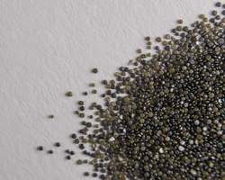Macro shot of Hodgdon H110 pistol powder, small black and greenish beads against a white background.