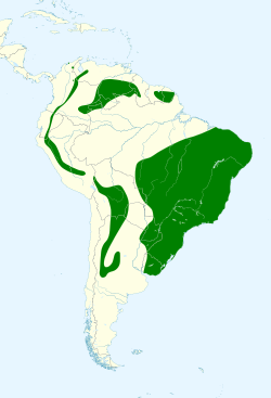 Hirundinea ferruginea map 2.svg