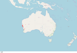 Map of the distribution of Dampiera altissima.png