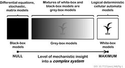 Mathematical models for complex systems.jpg