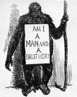 A gorilla standing upright with the aid of a stick, wearing a placard: