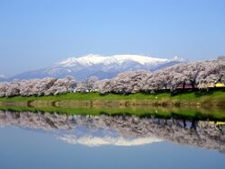 Mount Zaō and Sakura 01.jpg