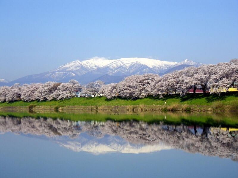 File:Mount Zaō and Sakura 01.jpg