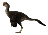 Oviraptor Restoration.png