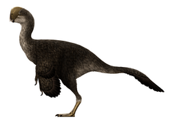 Oviraptor Restoration.png