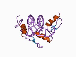 PDB 1a1g EBI.jpg