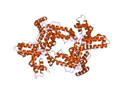 crystal structure of uncomplexed vitamin d-binding protein