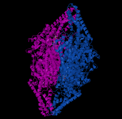 Phenylalanine ammonia lyase.png