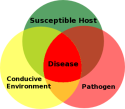 Plant Disease Triangle.png
