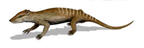 Yanoconodon BW.jpg