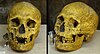 Abri Pataud - Protomagdalenian woman skull - 20090922.jpg