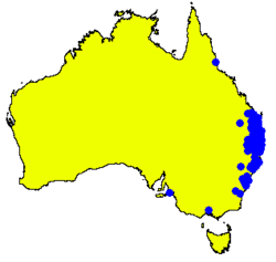 Angophora subvelutina DistMap.png