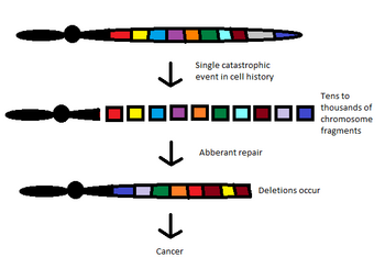 massive gene rearrangement event leading as a result of chromothripsis leading to cancer