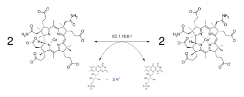 Cob(II)yrinic acid a,c-diamide reductase.svg