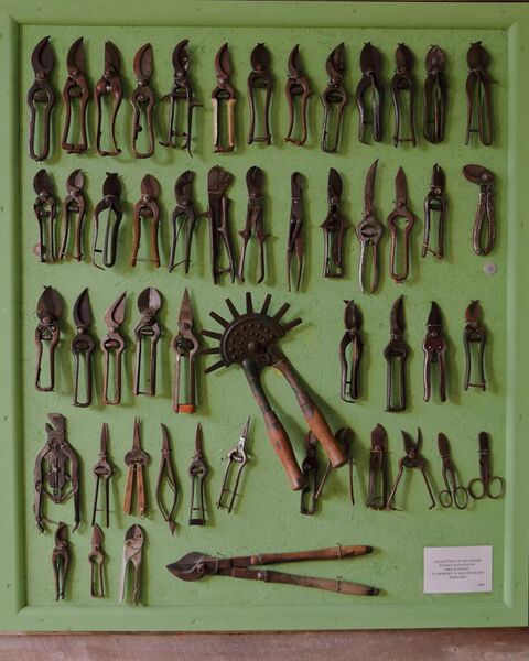 File:Collection of secateurs.jpg