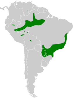 Conopias trivirgatus map.svg