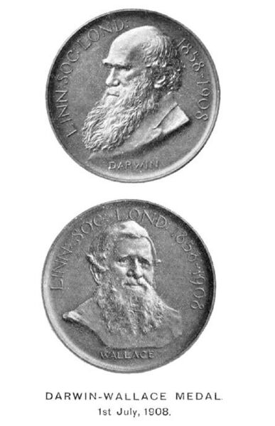 File:Darwin-Wallace medal.jpg