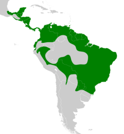 Elaenia flavogaster map.svg