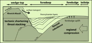 Example of forebulge via lithospheric flexure in the formation of a Foreland basin