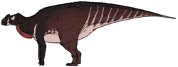 Life reconstruction of Aralosaurus tuberiferus.png
