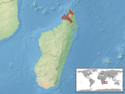 Lygodactylus madagascariensis distribution.png