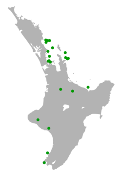 North Island saddleback distribution map (unlabelled).svg
