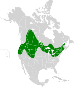 Okanagana canadensis map.svg