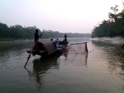 Otter Fishermen Harbaria Sundarban National Park Bangladesh - panoramio.jpg
