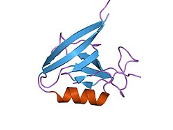 PDB 1mfg EBI.jpg