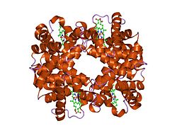 PDB 1yih EBI.jpg