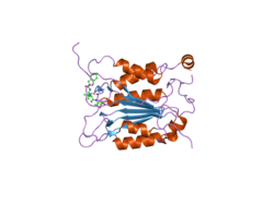 PDB 2hbz EBI.png