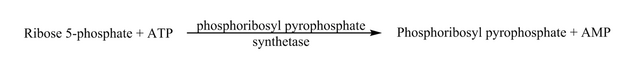 Overall reaction for phosphoribosyl pyrophosphate synthetase