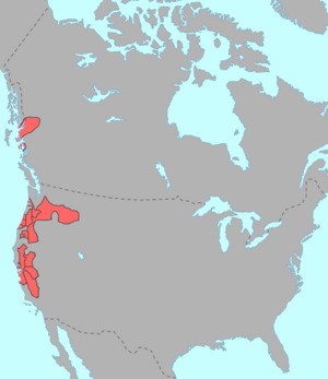 Proposed Penutian langs.png