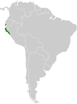 Pseudelaenia leucospodia map.svg