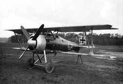 SSW D.III.jpg