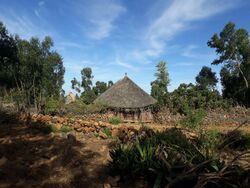 Thatched roofs in Kerene.jpg