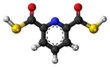 Ball-and-stick model of the 2,6-pyridinedicarbothioic acid molecule