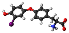 Ball-and-stick model of the 3′-monoiodothyronine molecule as a zwitterion