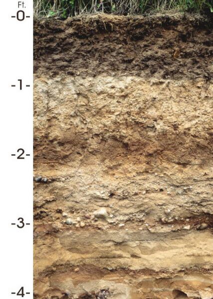 File:Antigo (soil).jpg