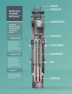 Diagram of a NuScale reactor.png