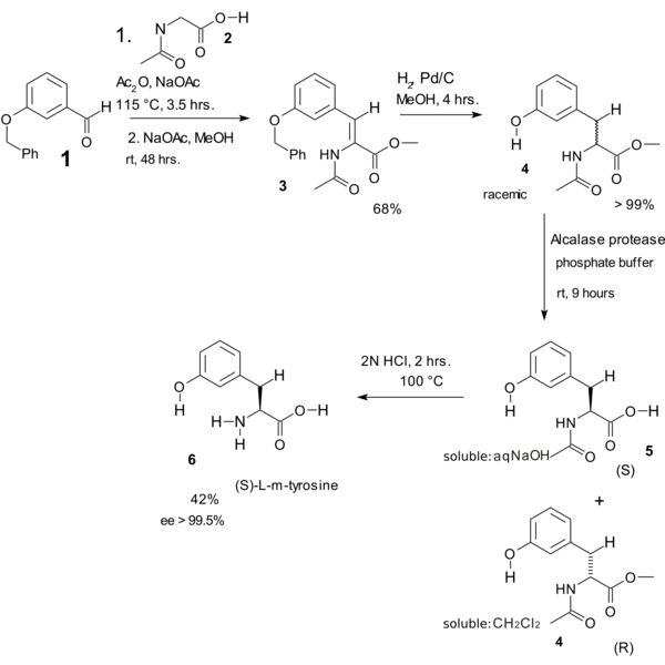 ErlenMeyer Amino Acid Synthesis Tyrosine