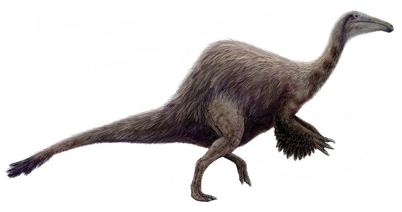File:Hypothetical Deinocheirus (flipped).jpg