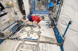 ISS-20 Robert Thirsk at the Minus Eighty Degree Laboratory Freezer.jpg