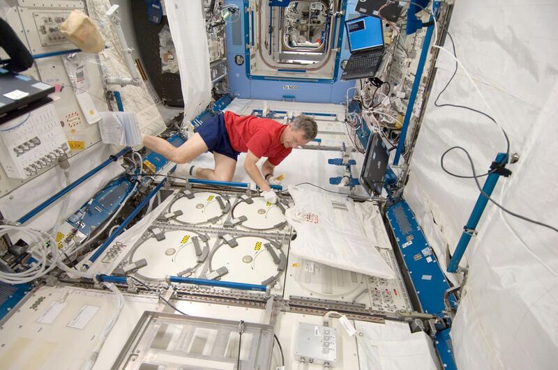 File:ISS-20 Robert Thirsk at the Minus Eighty Degree Laboratory Freezer.jpg