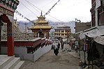 Leh, Old city, Ladakh, India.jpg