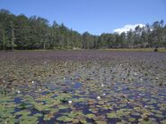 Lurë-Dejes Mt National Park