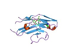 PDB 1o7s EBI.jpg